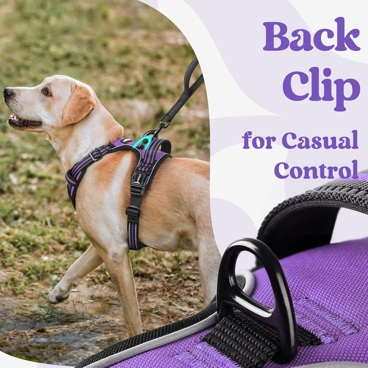rabbitgoo Dog Harness Small Sized, No Pull Pet Harness with 3 Buckles, Adjustable Soft Padded Vest