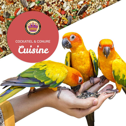Cockatiel & Conure Cuisine 4 Lbs, Cockatiel & Conure Bird Seed, Nutrient-Rich Mixed Birdseeds, Bird