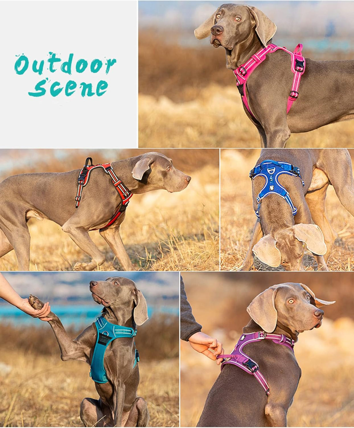 TRUE LOVE Dog Harness No Pull Nylon Reflective Pet Harness Adjustable Comfortable Control Step-in
