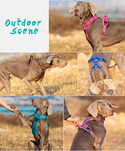 TRUE LOVE Dog Harness No Pull Nylon Reflective Pet Harness Adjustable Comfortable Control Step-in