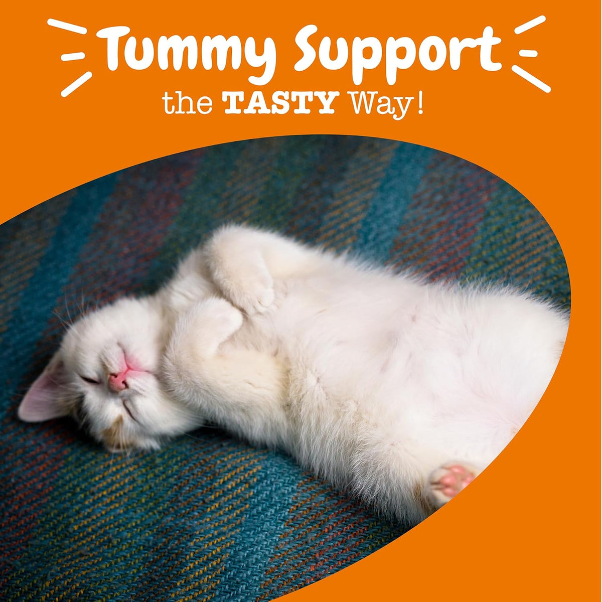 Zesty Paws Probiotic Bites for Cats - Gut Flora & Immune System Support - Cat Supplement with DE111