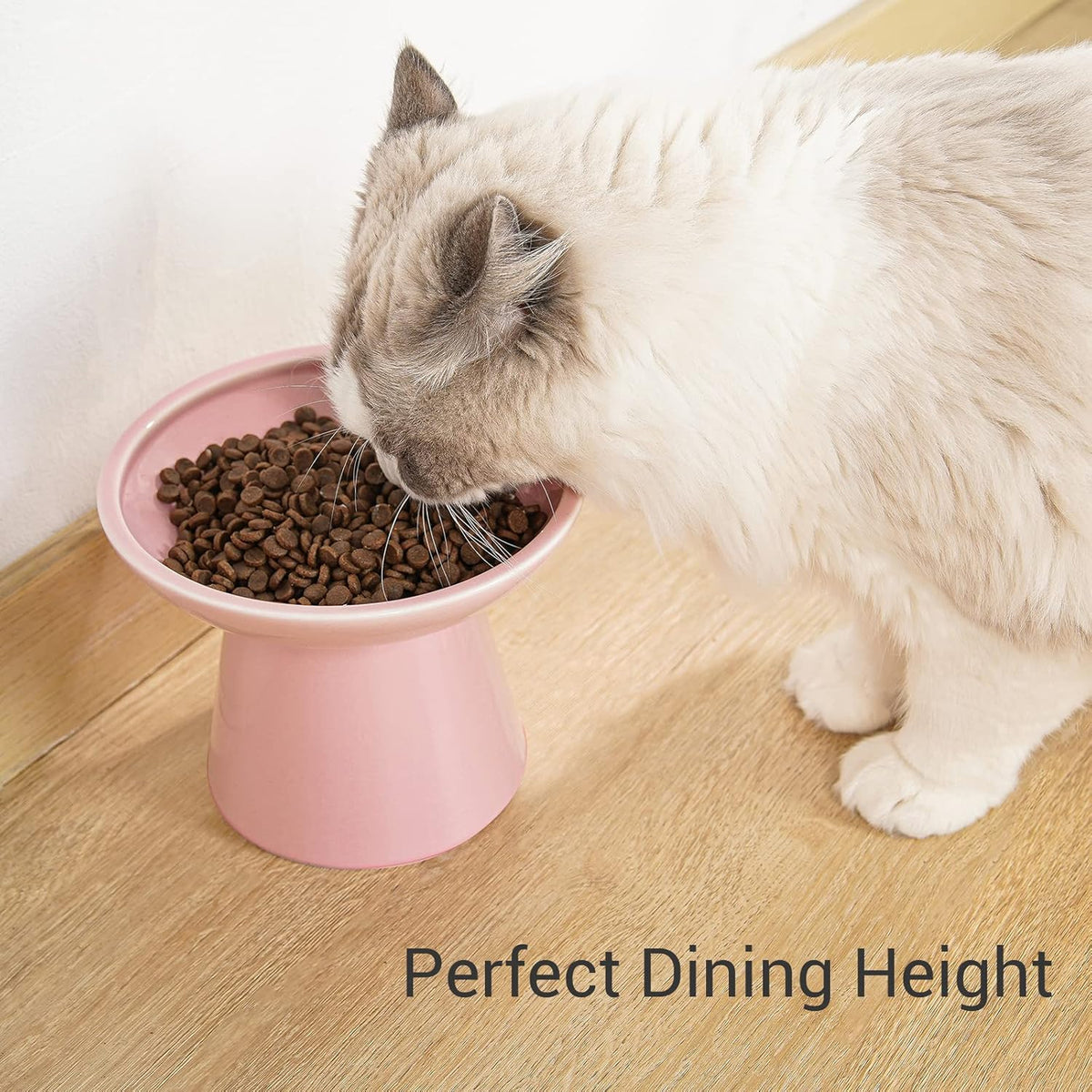 Extra Wide Elevated Ceramic Cat Bowl, 6.2" Shallow Dish for Whisker Fatigue Relief, 5" Height for
