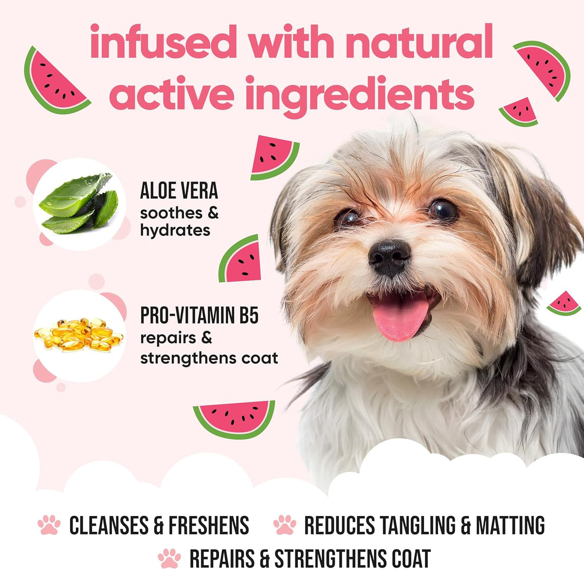 Watermelon Dog Shampoo by Buddycare | Deep Cleansing Shampoo for Dogs | Fresh Scented | with Aloe