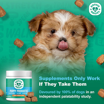 Doggie Dailies Puppy Probiotic, Probiotics for Puppies with Digestive Enzymes, Promotes Digestive