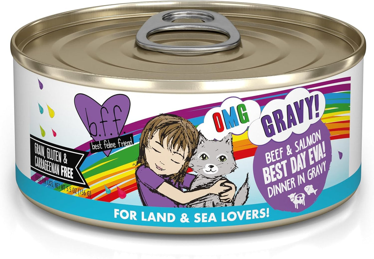 Weruva B.F.F. OMG - Best Feline Friend Oh My Gravy!, Best Day Eva! with Beef & Salmon in Gravy Cat