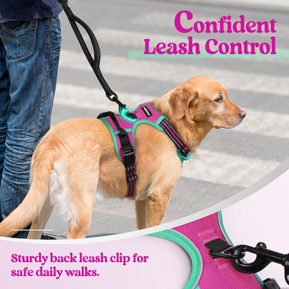 rabbitgoo Dog Harness No Pull with 2 Leash Clips, Adjustable Soft Padded, Reflective Oxford No