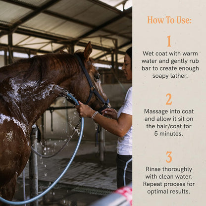 J·R·LIGGETT'S Botanical Horse Liquid Shampoo for Sensitive Skin | Hypoallergenic Biodegradable