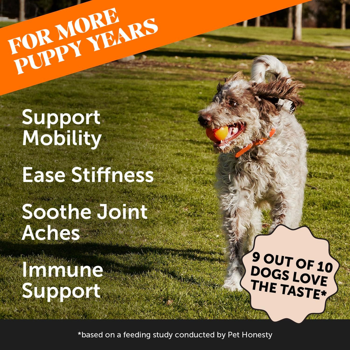 Hip & Joint Turmeric Health - Joint Supplement for Dogs, Omega-3 Fish Oil, Turmeric to Support