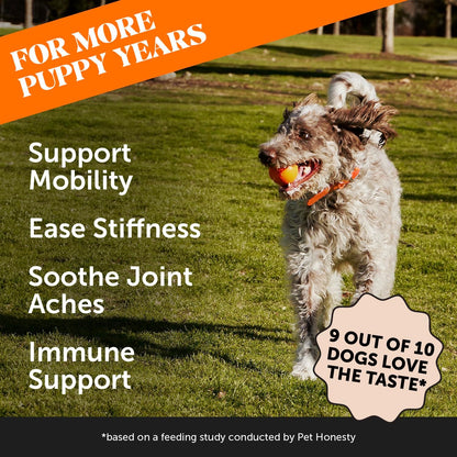 Hip & Joint Turmeric Health - Joint Supplement for Dogs, Omega-3 Fish Oil, Turmeric to Support