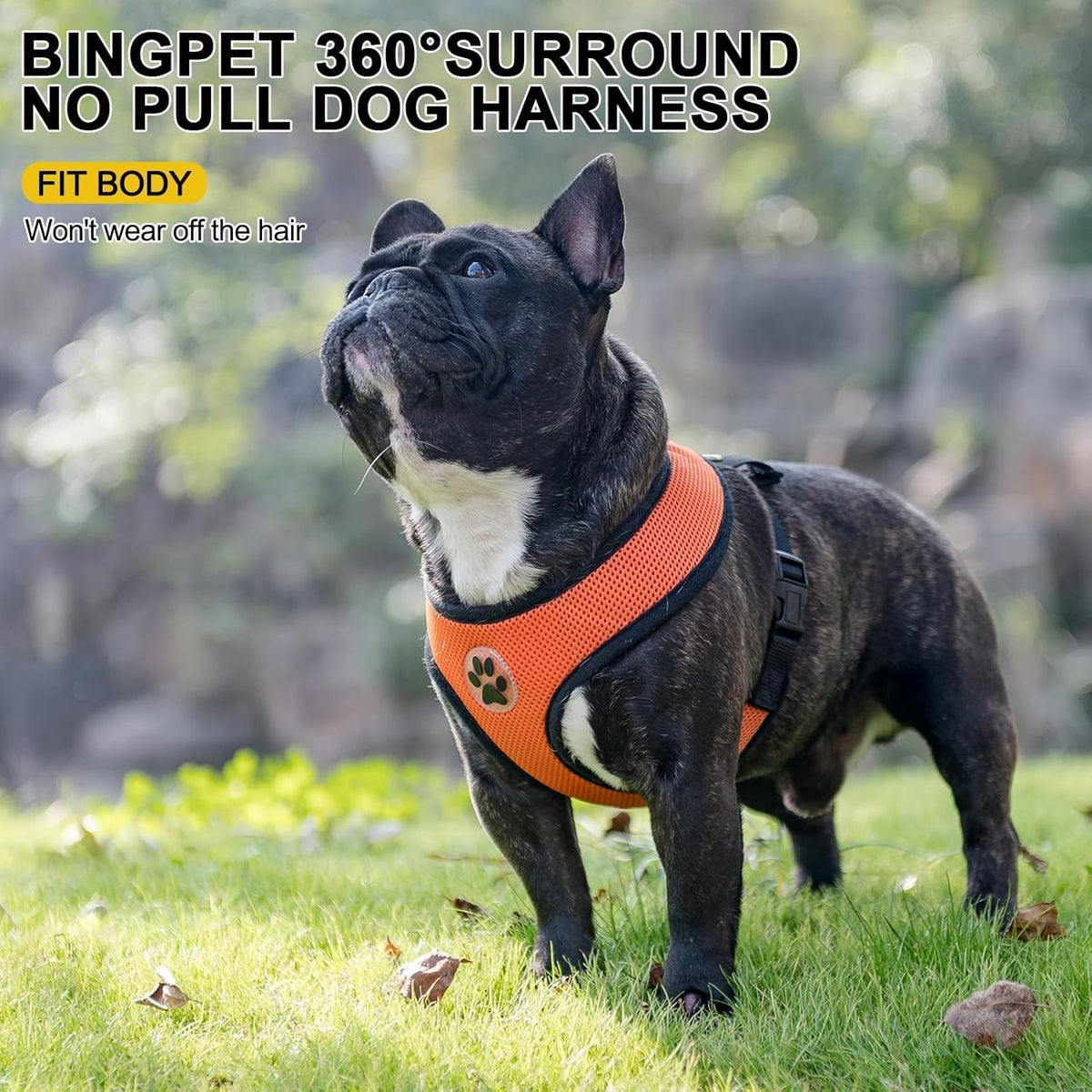 BINGPET No Pull Dog Harness, Soft Mesh Breathable All Weather Vest, Safety Protection Design