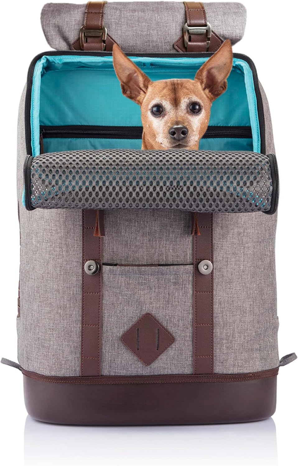 Kurgo Dog Carrier Backpack for Small Pets - Dogs & Cats | TSA Airline Approved | Cat | Hiking or