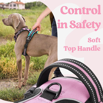 rabbitgoo Dog Harness Medium Sized, No Pull Pet Harness with 3 Buckles, Adjustable Soft Padded Vest