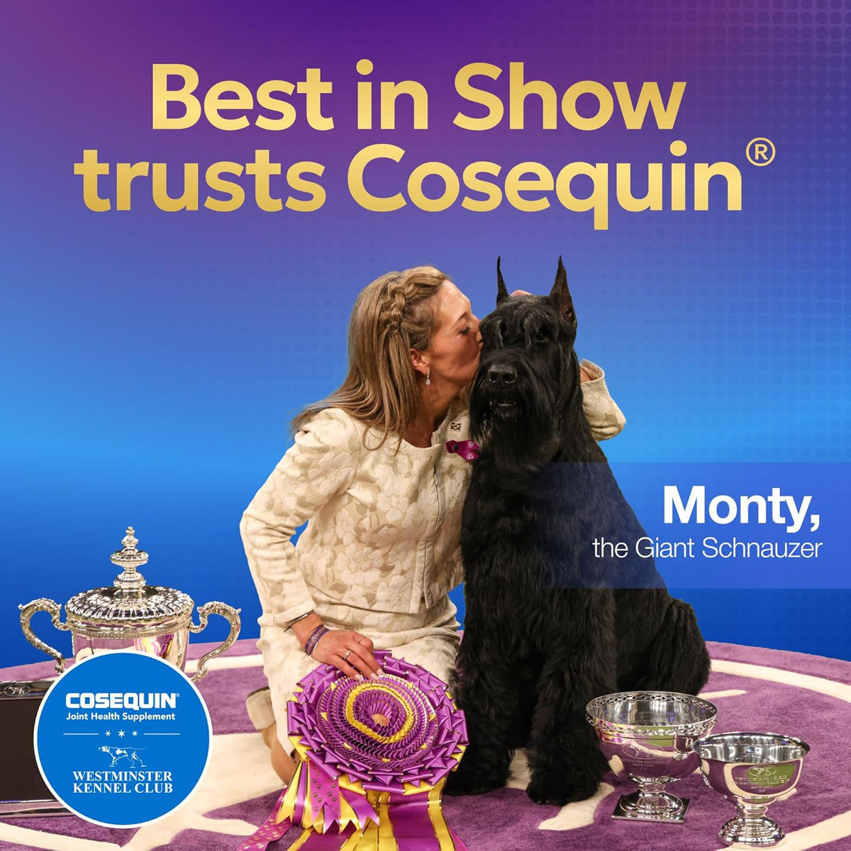 Nutramax Cosequin for Dogs Joint Health Supplement, Contains Glucosamine for Dogs, Plus Chondroitin