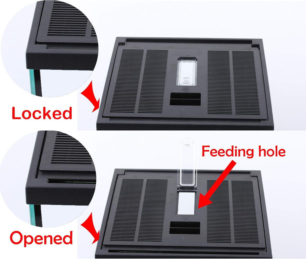 crapelles Black Small Vertical Insect GlassTerrarium, 7.8x7.8x10.8'' Reptile Tank, for Tarantula