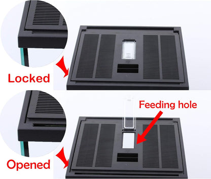 crapelles Black Small Vertical Insect GlassTerrarium, 7.8x7.8x10.8'' Reptile Tank, for Tarantula