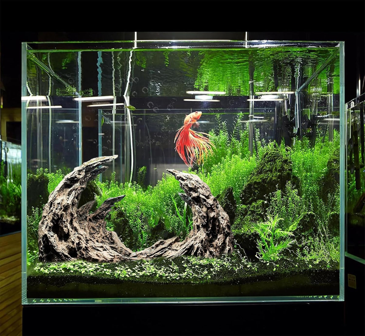 Novelsite Premium Large Sandstone Canyon Rock Formation - Lifelike Aquarium Decor for Fish Tank