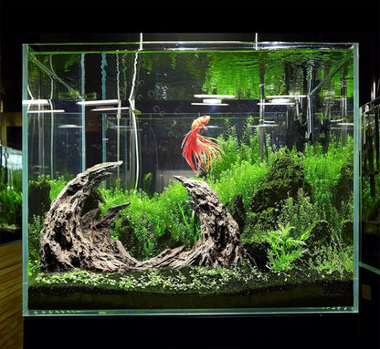 Novelsite Fish Tank Accessories, Aquarium Decorations, Scenery, Rock Ornaments - Create Aquatic