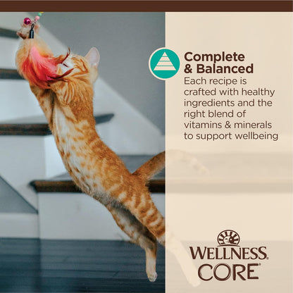 Wellness CORE Tiny Tasters Flaked Adult Wet Cat Food, Natural, Protein-Rich, Grain Free, 1.75-Ounce