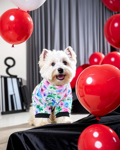 PET SHOW 4 Pack Small Dog Pajamas Cute Paw Bone Clothes for Medium Dogs Soft Stretchy PJs Plaid