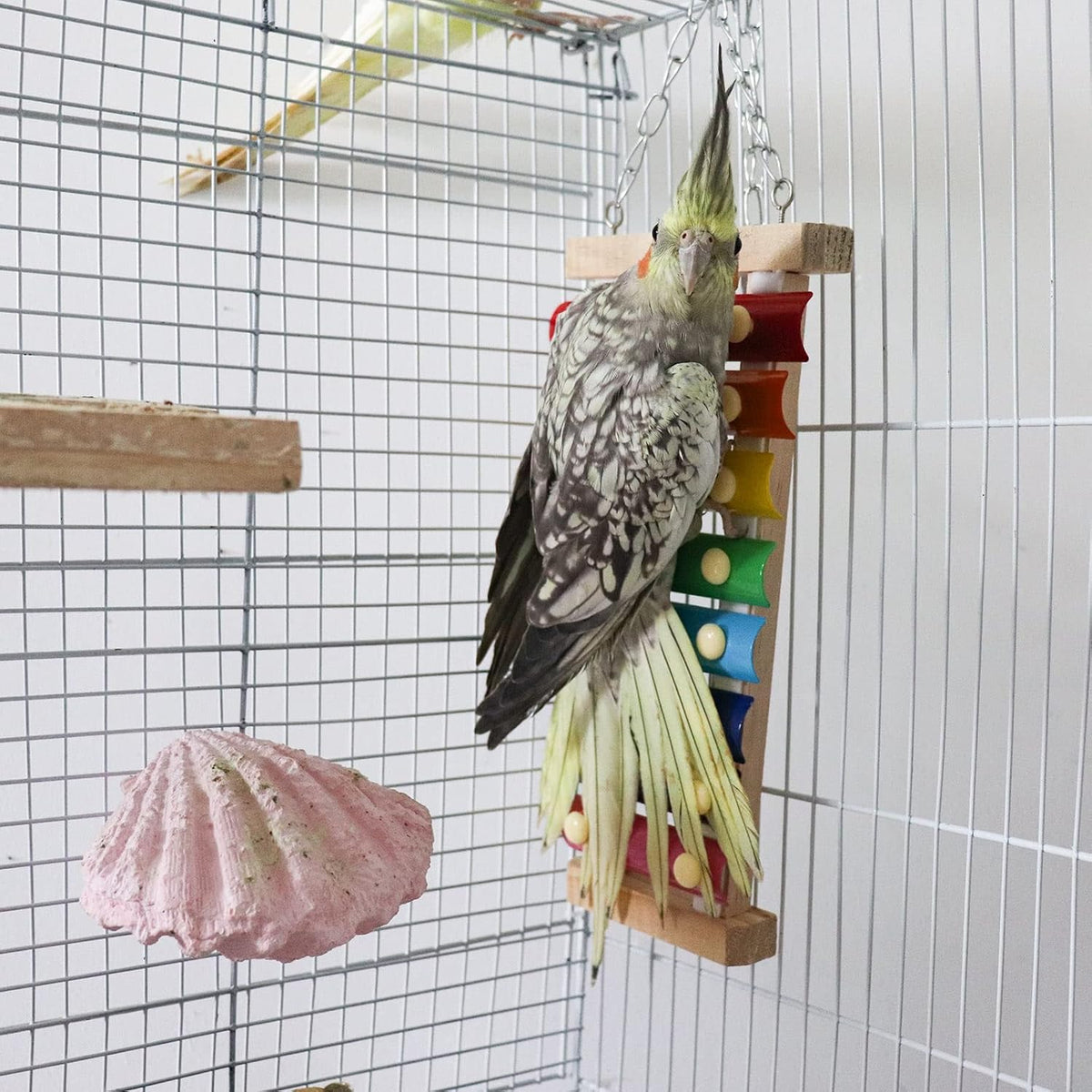 Colorful Bird Xylophone Toy, Suspensible Funny Xylophone Toy with 8 Metal Keys, Bird Cage Toy