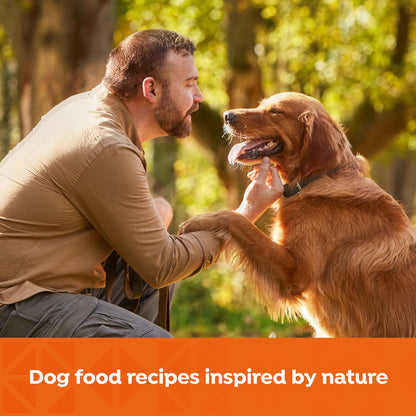 Nature's Recipe Grain Free Chicken, Sweet Potato, and Pumpkin Recipe Wet Dog Food, 13 oz. Can, 12