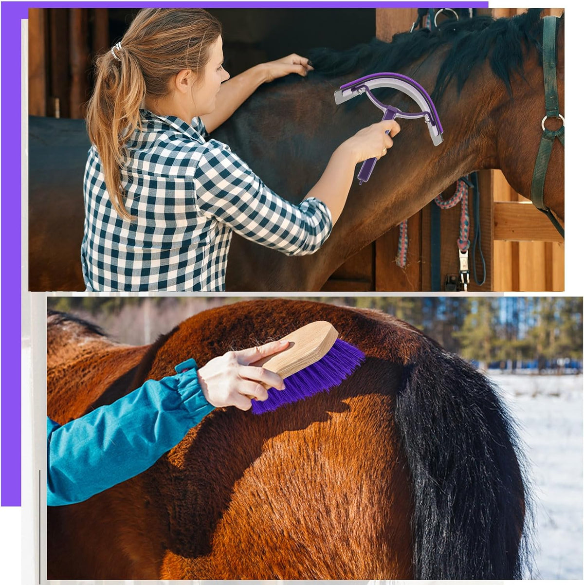 Abbylike 12 Pieces Horse Grooming Kit Racing Festival Tack Room Supplies Horse Brush Sets Equine