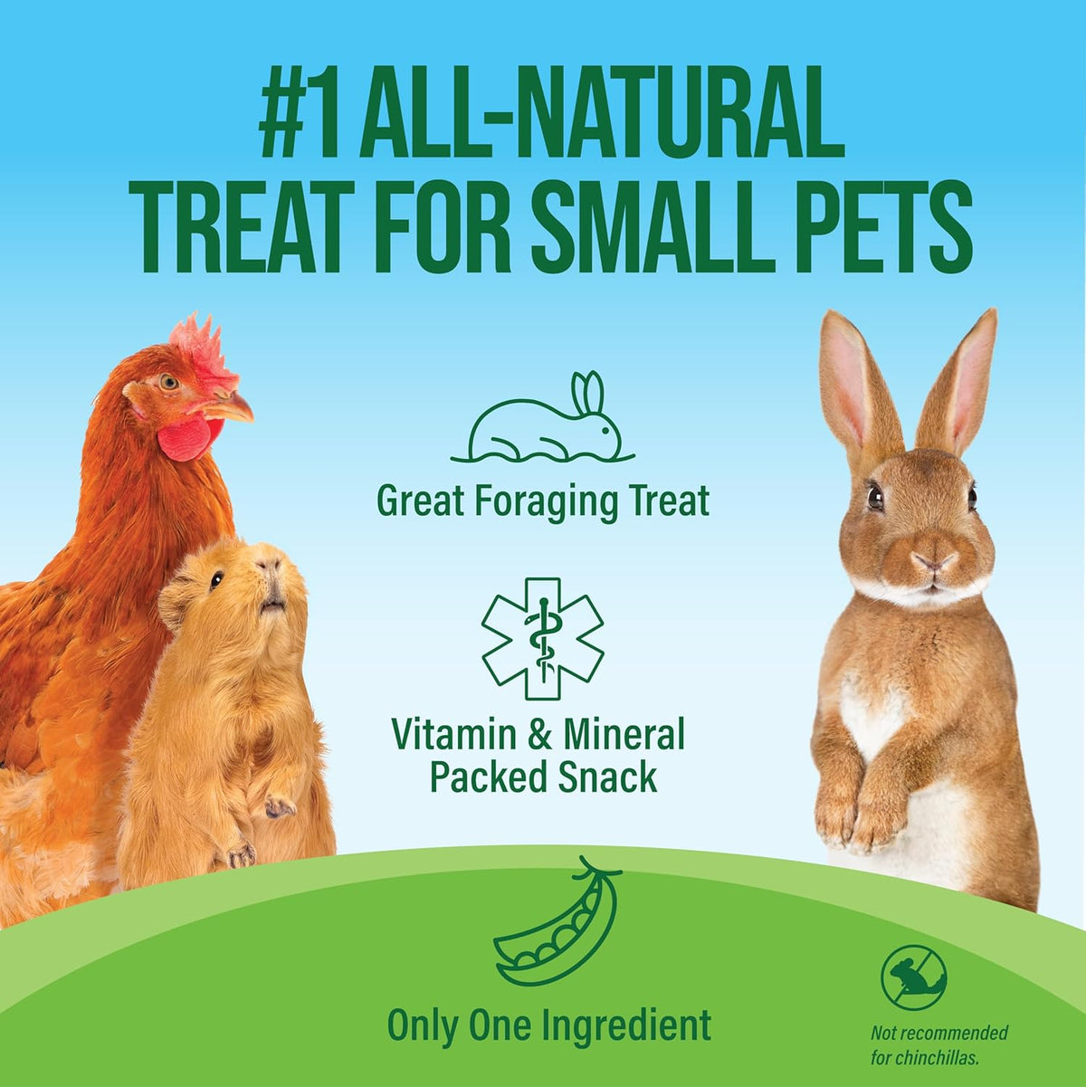 Small Pet Select - Pea Flakes, Treats for Rabbit Bunny, Guinea Pig, Chickens, Bunny, Hamster, and