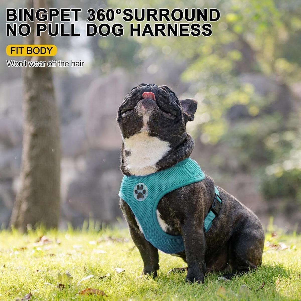 BINGPET Small Dog Harness - Breathable Mesh Puppy Cat Harnesses - No Pull Adjustable Dog Harness