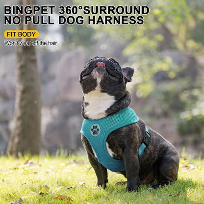BINGPET Small Dog Harness - Breathable Mesh Puppy Cat Harnesses - No Pull Adjustable Dog Harness