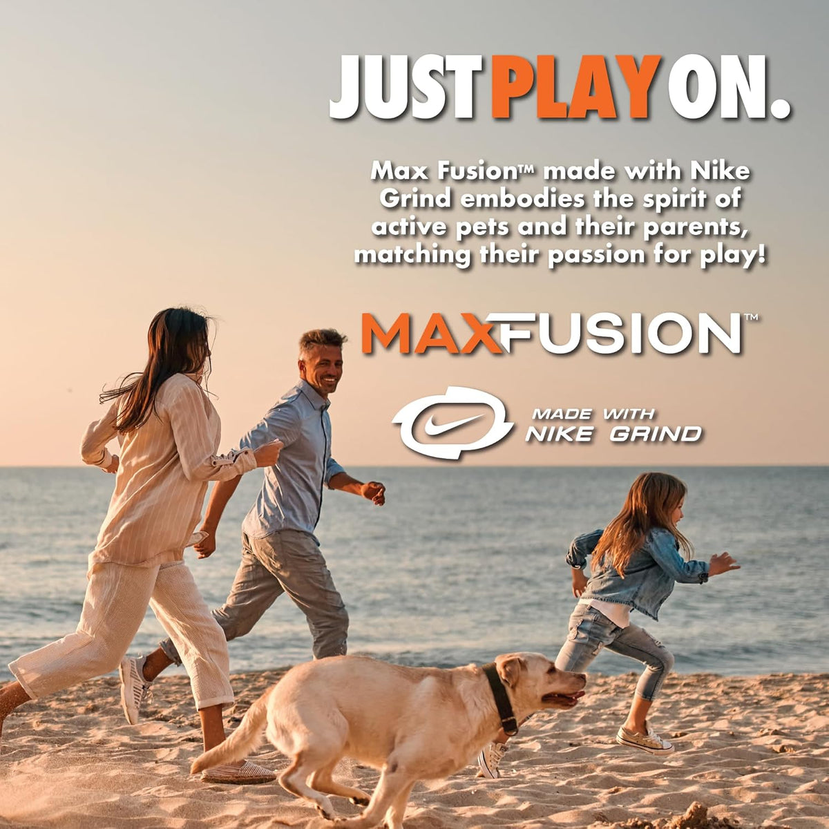 Max Fusion with Nike Grind, Arlee Meteor Dog Toy, Chew Toy for Play, Fetch, Tug, M