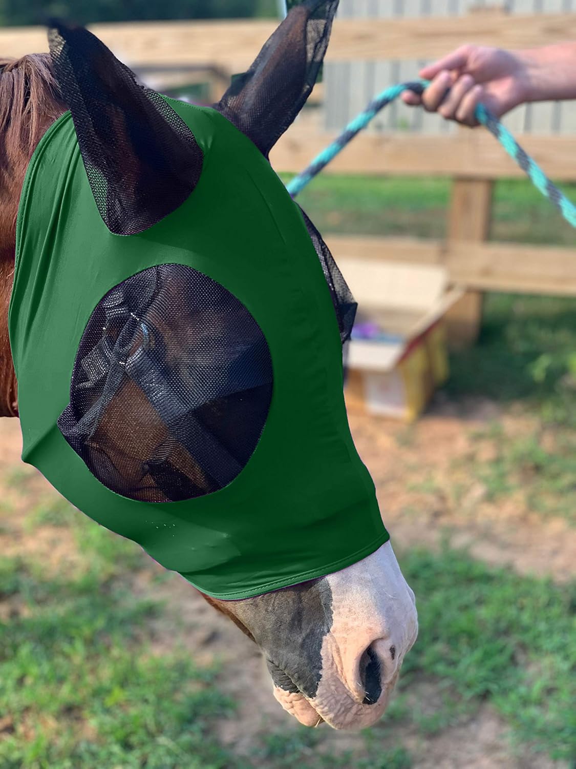 Horse Fly Mask - Arab Equine Fly Mask with Full Coverage for Eye & Ear - Stretchable, UV & Sun