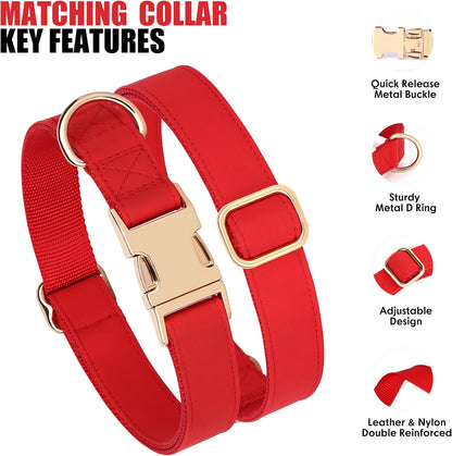 PET ARTIST Soft PU Leather Dog Collar, Bright & Classic Red Dog Collar with Quick Release Rose