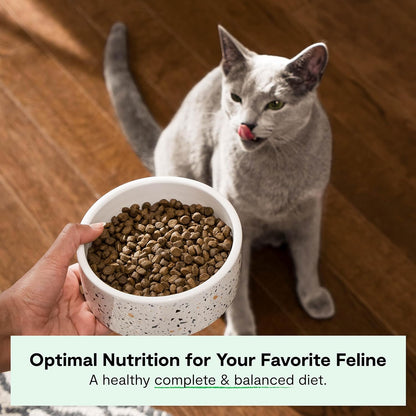Open Farm, Grain Free Dry Cat Food, High-Protein Kibble for a Complete & Balanced Diet, Non-GMO