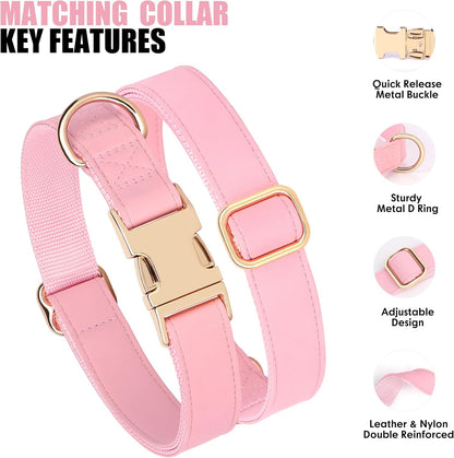 PET ARTIST Soft PU Leather Dog Collar, Bright & Classic Pink Dog Collar with Quick Release Rose