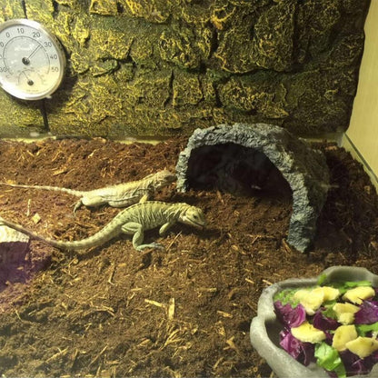 BNOSDM Reptile Soil Substrate Fluffy Small-Strand Reptile Substrate and Snake Bedding Clean Natural