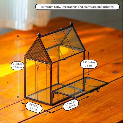 NCYP Small Glass Spider Enclosure with Mesh for Jumping Spiders, Snails, Micro House Shaped Front