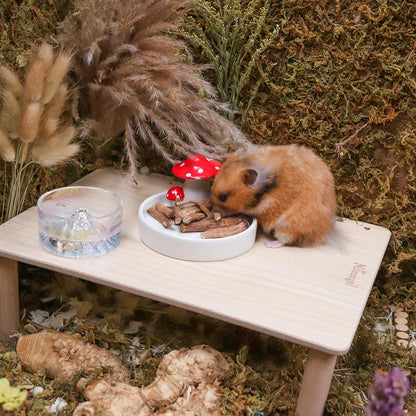 Niteangel Hamster Snack & Treats Toy - Small Animal Natural Treat for Dwarf Syrian Robo Hamsters