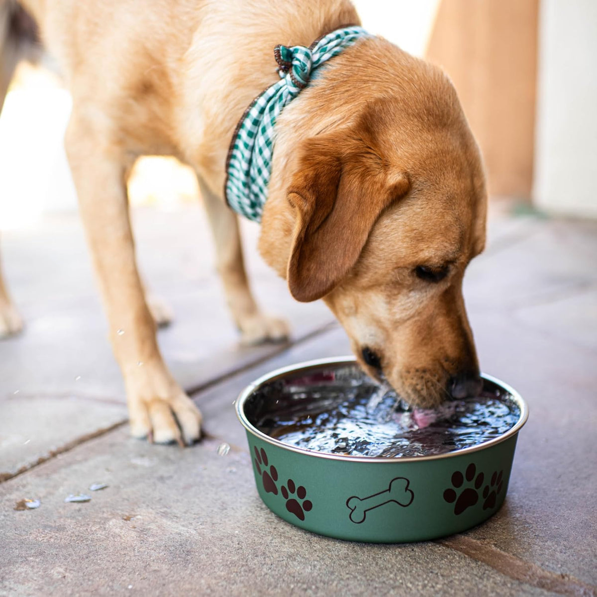 Loving Pets Bella Dog Bowls- Stainless Steel Dog & Cat Bowls - Spill Proof Dog Food Bowl, Cat Bowl