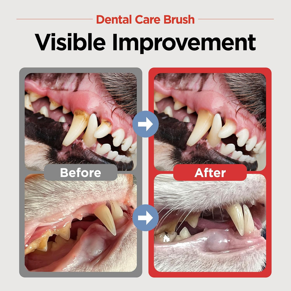 JAYU PET Dental Care Brush (Soft Bristles) 1ea - Dog Toothbrush, Cat Toothbrush, Dental Care for
