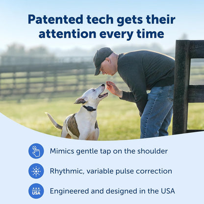 PetSafe Core Dog Trainer with Remote – Waterproof Training Collar – 1000 Foot Range – Tone