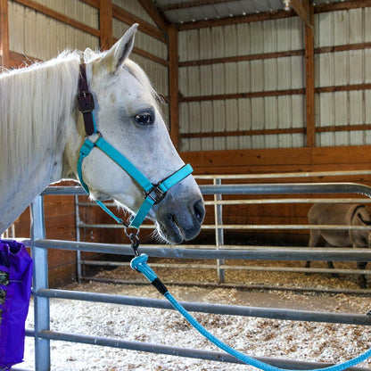 Majestic Ally Leather Halter with Matching Lead Rope for Horses – Leather Breakaway Crown