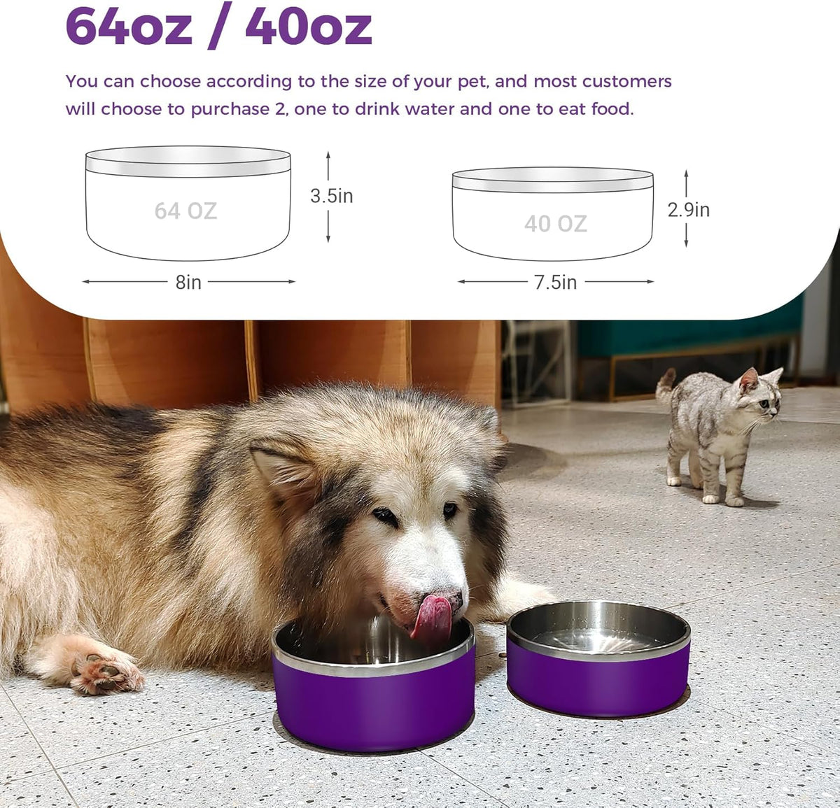 Dog Bowl, Stainless Steel Dog Food and Water Bowl with Non Slip Quiet Bottom, Easy to Clean