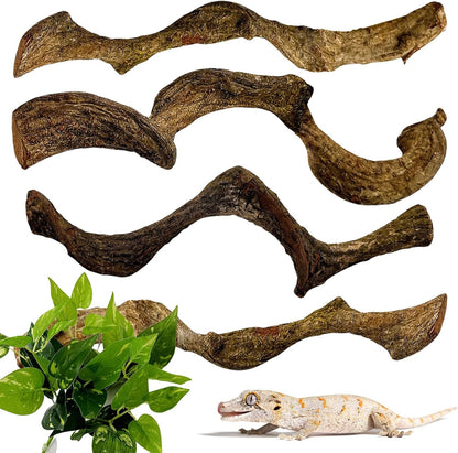 BNOSDM 4Pcs Reptile Climbing Branches Decor,Snake Climbing Branch,Gecko Climb Wood,Lizard Forest