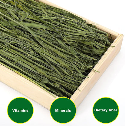 Premium Oat Hay for Pets - Dust Free Natural Green Fresh Pet Food Hay for Rabbits, Guinea Pigs