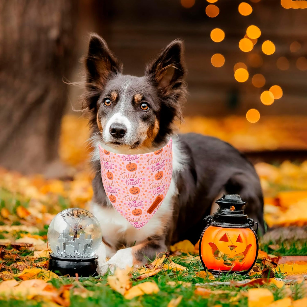 ADOGGYGO Halloween Dog Bandana, Pink Pumpkin Ghost Scarf, Adjustable Fit Female Halloween Bandanas