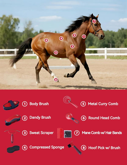 9PCS Horse Grooming Kit Curry Comb Sweat Scraper Horse Bathing Supplies Grooming Tools with Storage