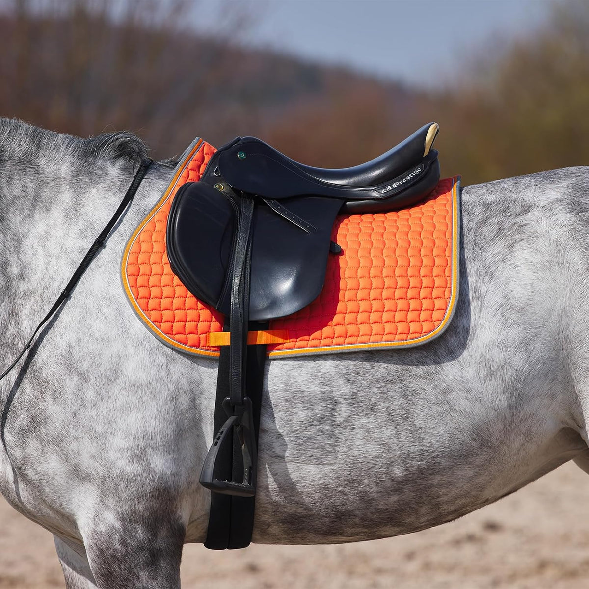 HORZE Adepto Padded All Purpose Quilted Equestrian Saddle Pad for Horses with Two-Tone Trim