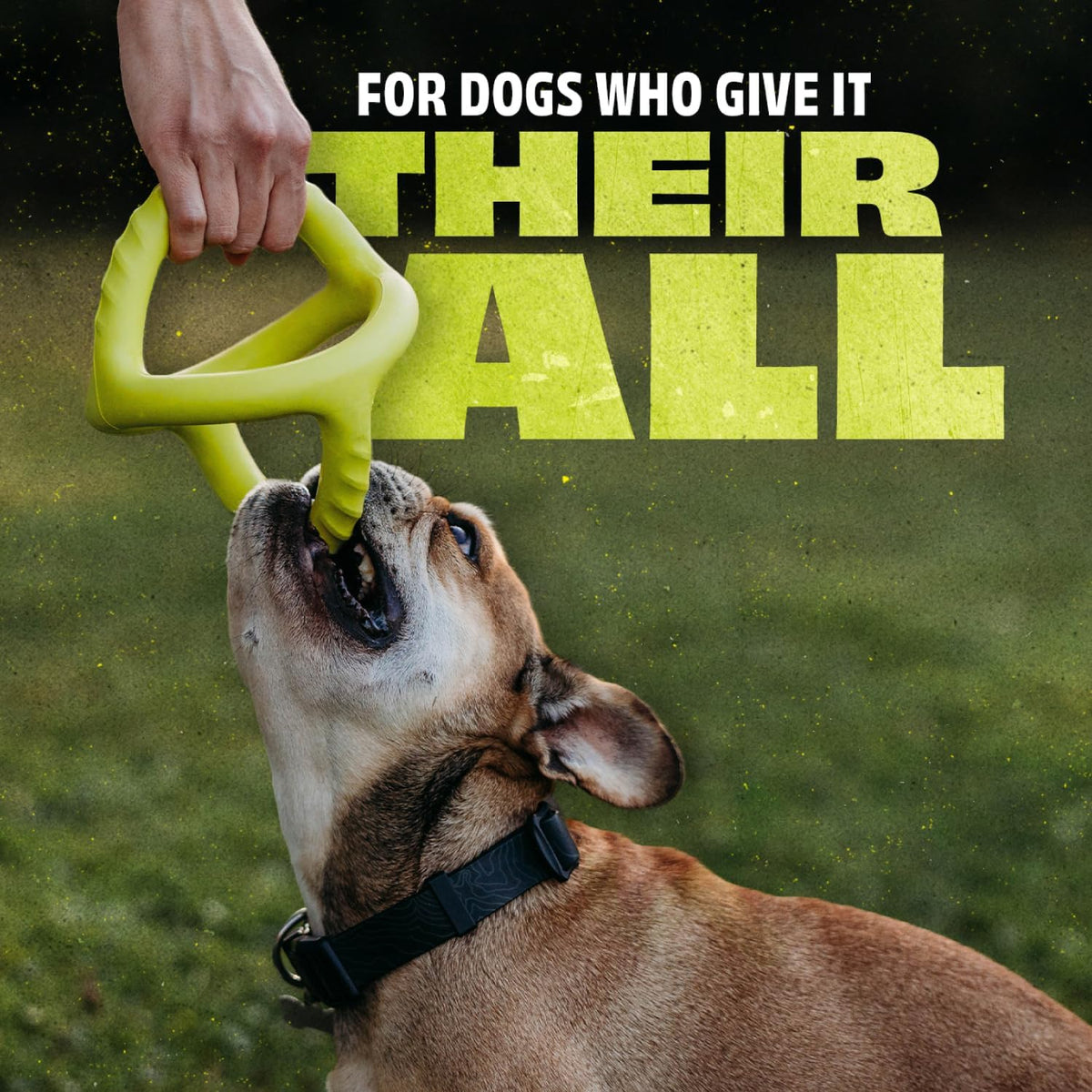 Benebone Natural Rubber Tug Interactive Dog Toy, Natural Rubber
