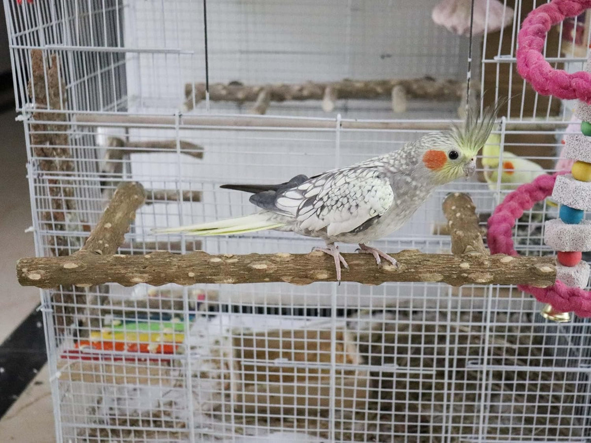 Large Natural Pepper Wood Parrot Stand Branch, Wooden Perch for Parakeet Cockatiels Conures