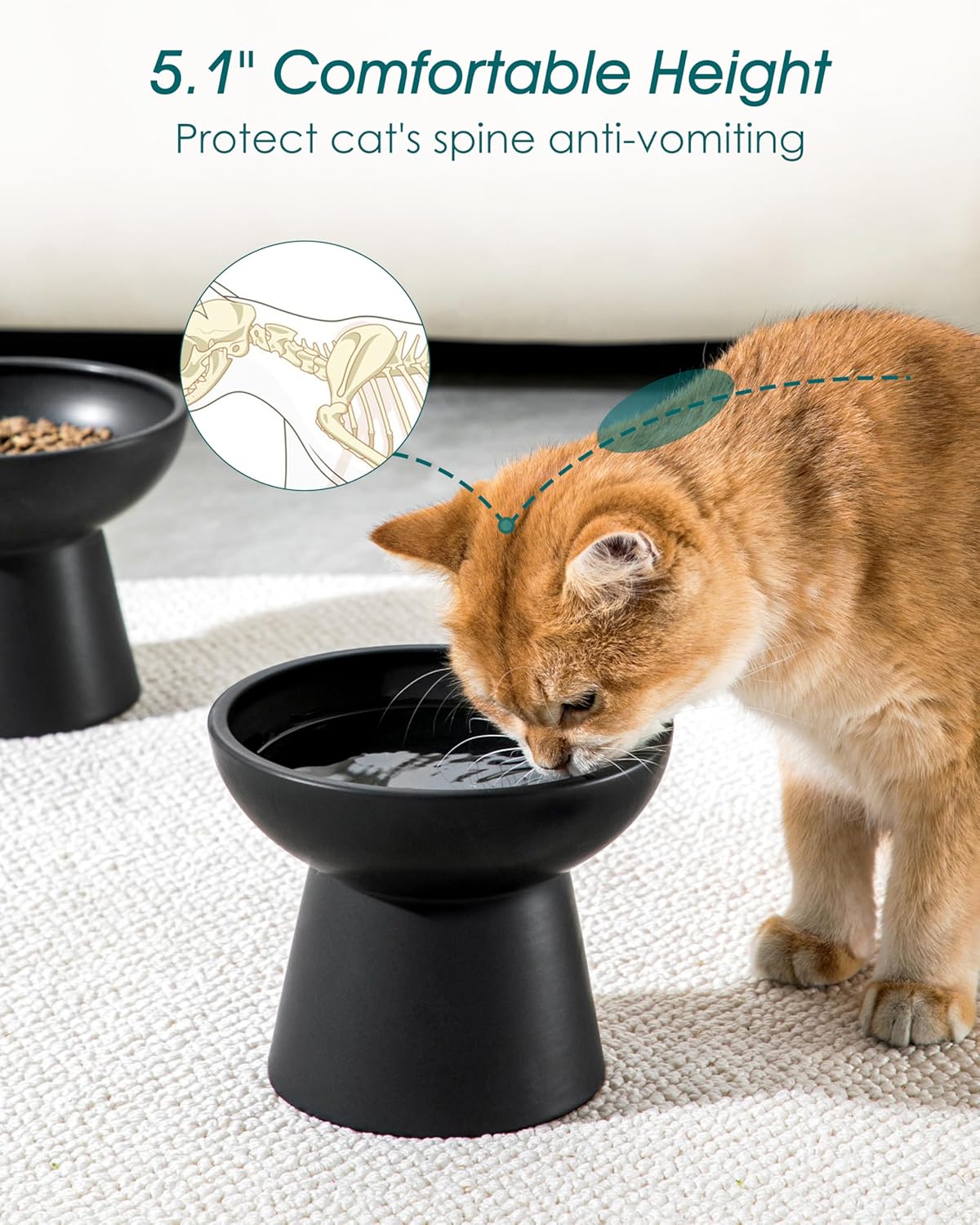 vancasso Ceramic Elevated Cat Bowls 2-Pack - 6.2" Extra Wide Raised Cat Food & Water Dishes, 5.1"